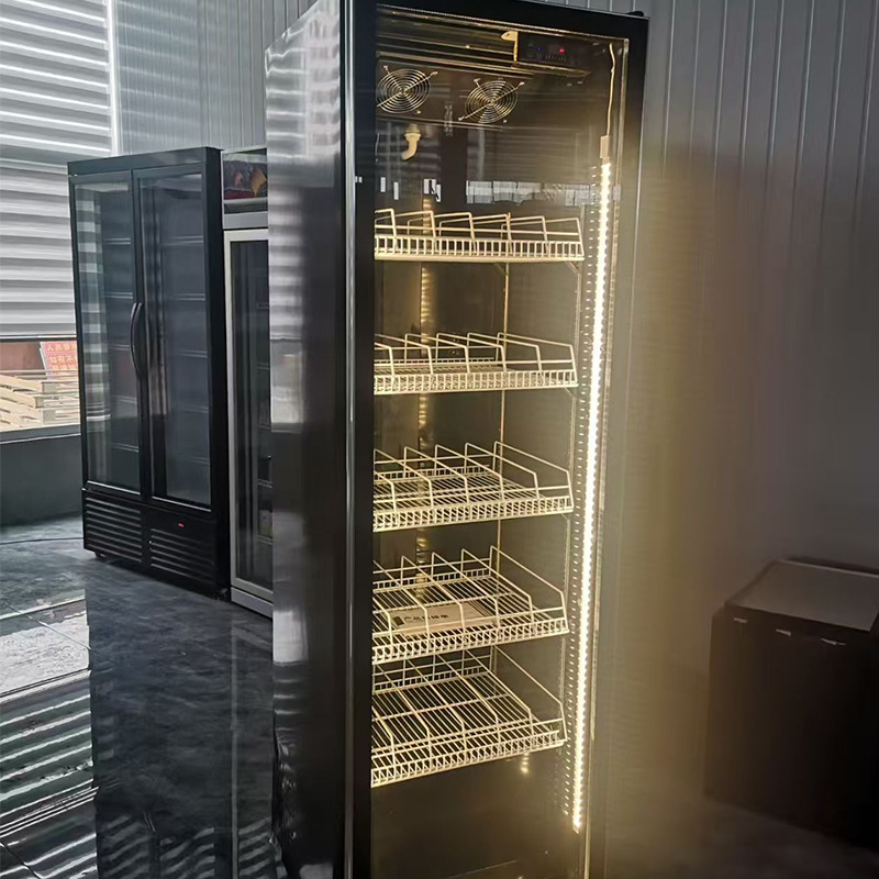 Wijn- en bierkast, commerciële - Wine Beer Fridge Cabinet recensie en prijs